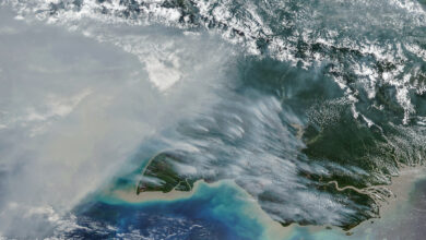 رصد بالقمر الصناعي NOAA-20 يُظهر دخان الحرائق فوق جنوب غينيا الجديدة يوم 11 أكتوبر 2026.